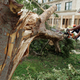 Image for article titled Seven Easily Avoidable Ways To Die In A Hurricane